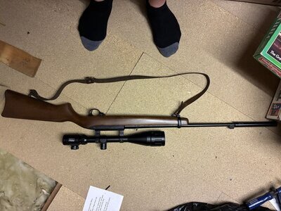 Ruger 10/22 Semi-Auto .22 Rifle