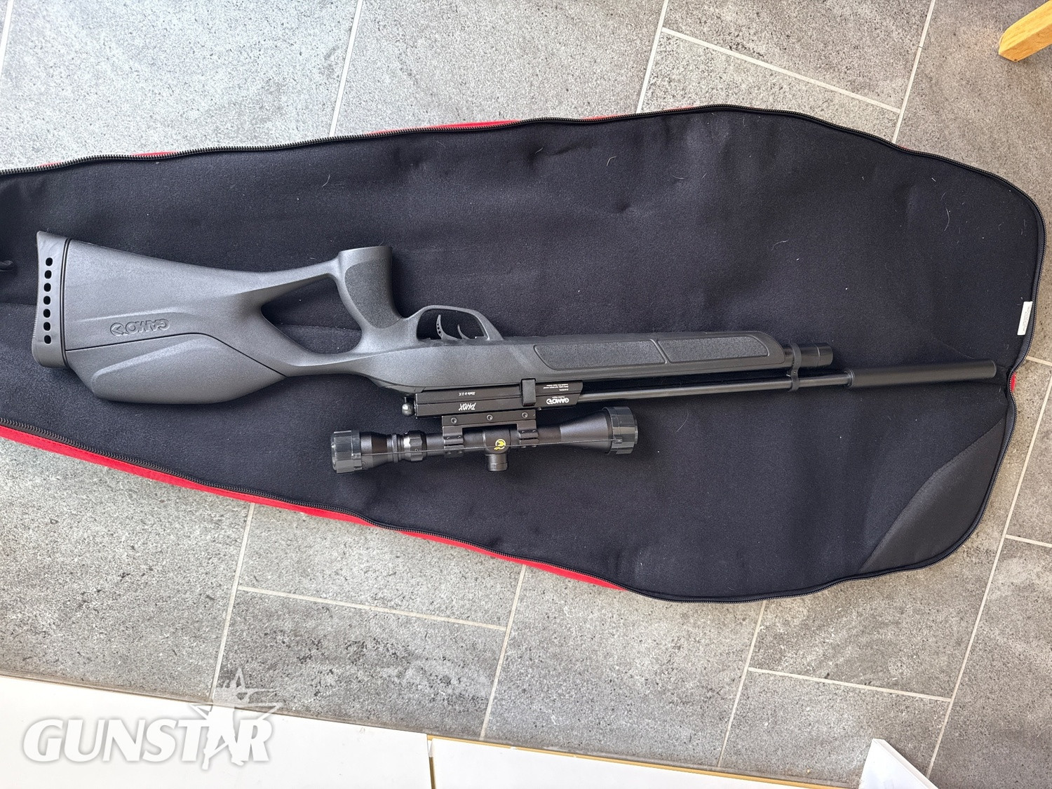 Gamo Phox .22