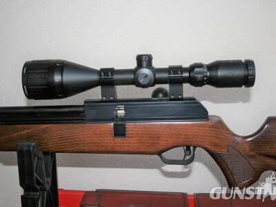 BSA Super 10 .22