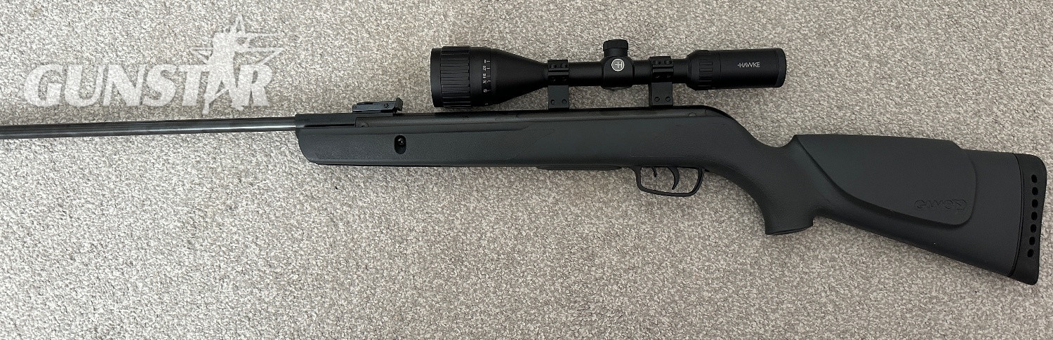 Gamo Hornet .22