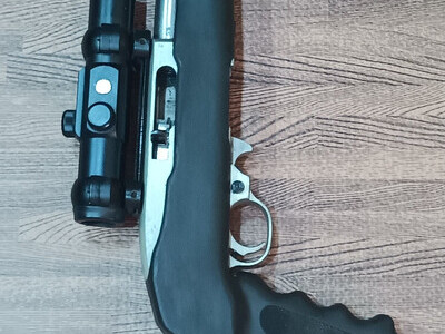 Ruger 10/22 Semi-Auto .22 Long Rifle (.22 LR) Rifle