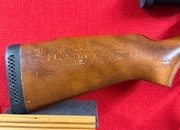BSA Lightning .22
