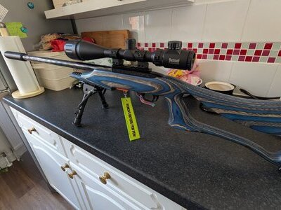 Ruger 10/22 Target Semi-Auto .22 Long Rifle (.22 LR) Rifle