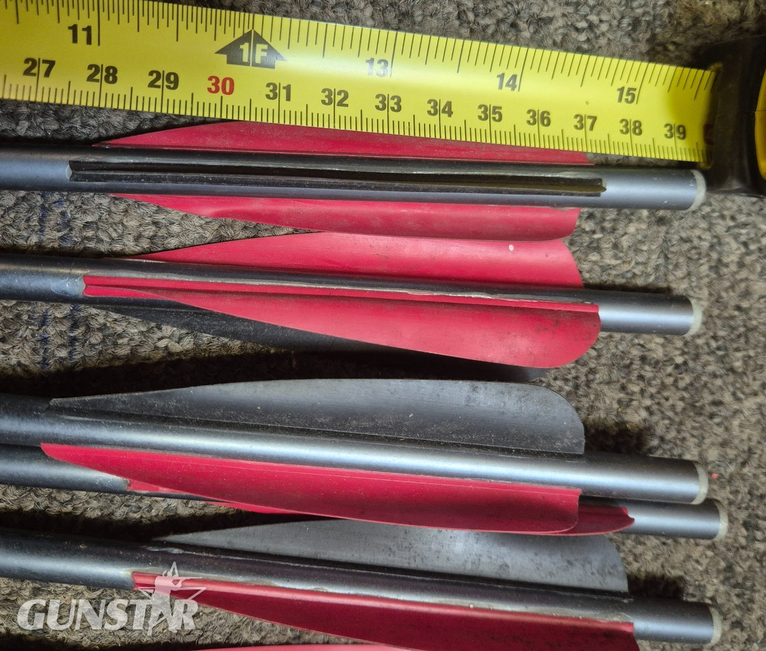 Horton  Crossbows and Bows 