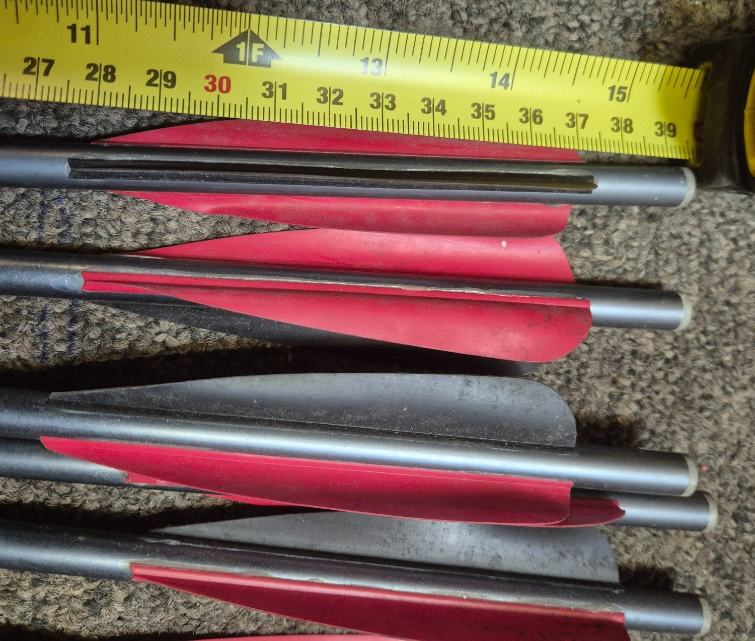Horton  Crossbows and Bows 