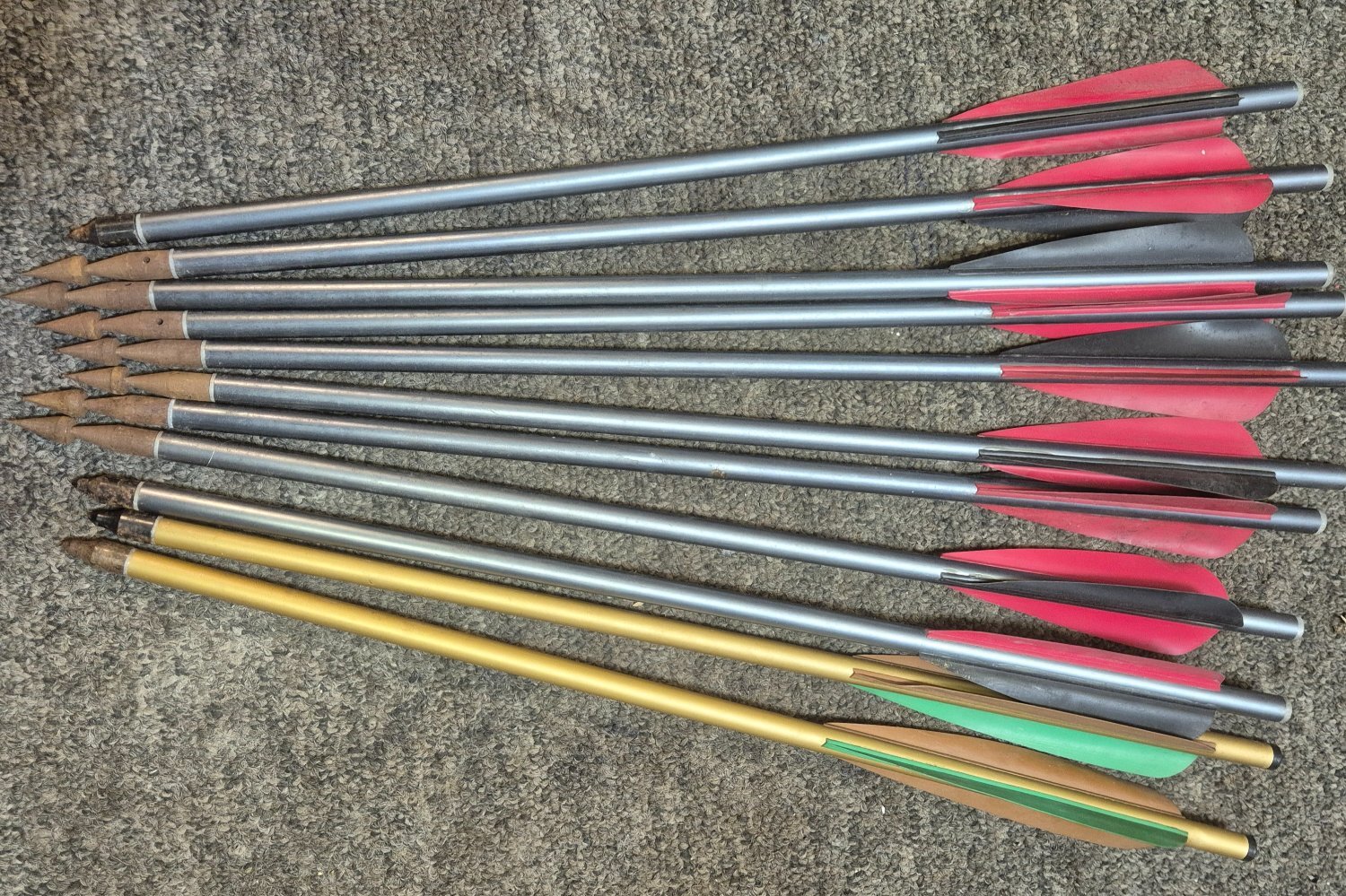 {CATEGORY} - Horton  Crossbows and Bows in 