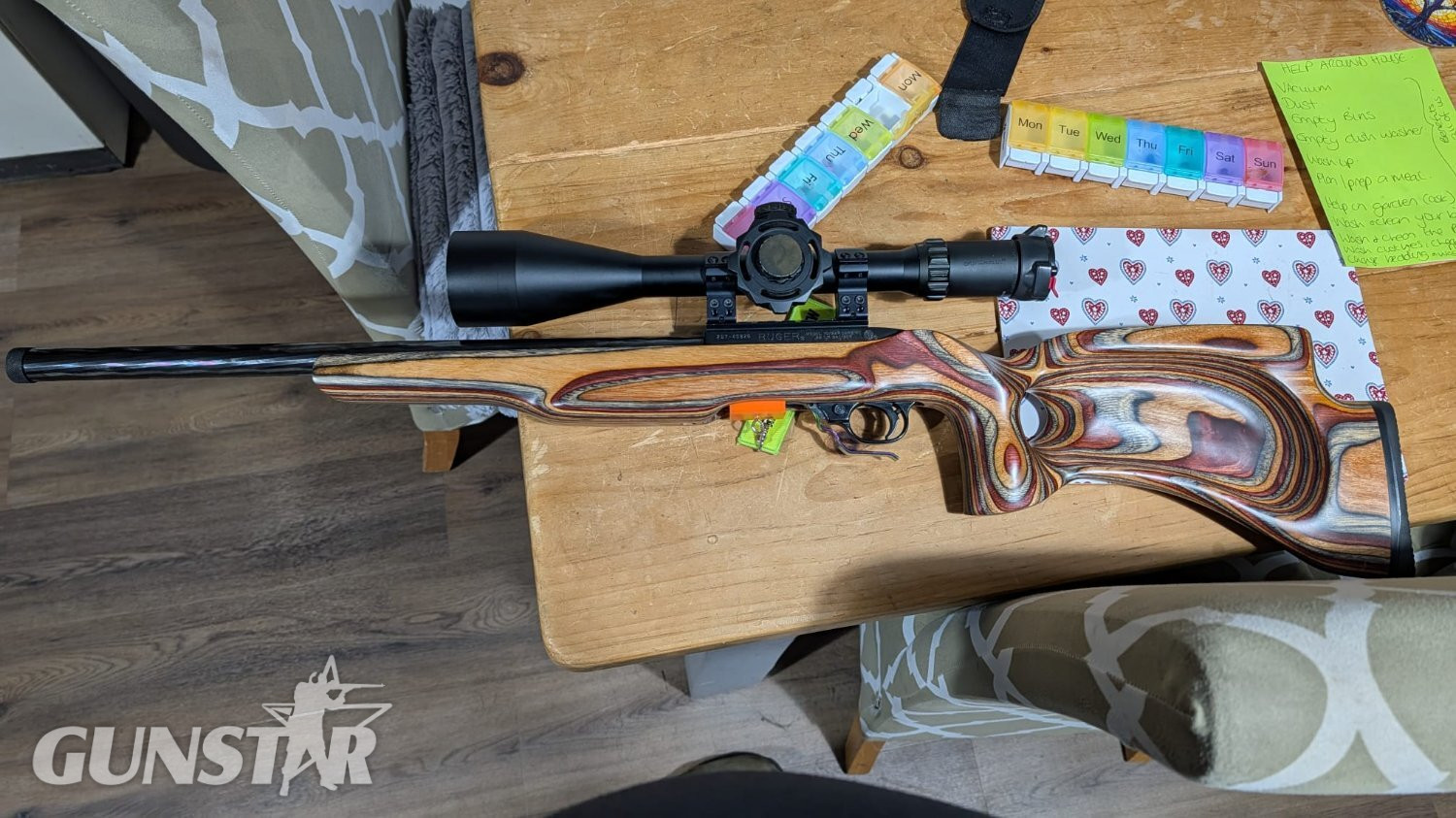 Ruger 10/22 Target Semi-Auto .22 Long Rifle (.22 LR) Rifle