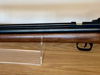 Crosman 2260 .22