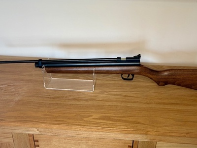 Crosman 2260 .22
