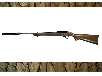 Ruger 10/22 Semi-Auto .22 Long Rifle (.22 LR) Rifle