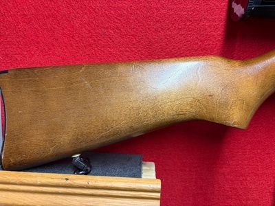Ruger 10/22 Semi-Auto .22 Long Rifle (.22 LR) Rifle