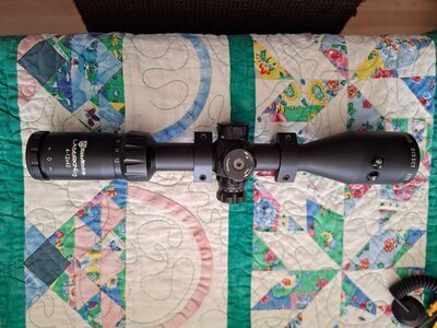 Sight & Optic