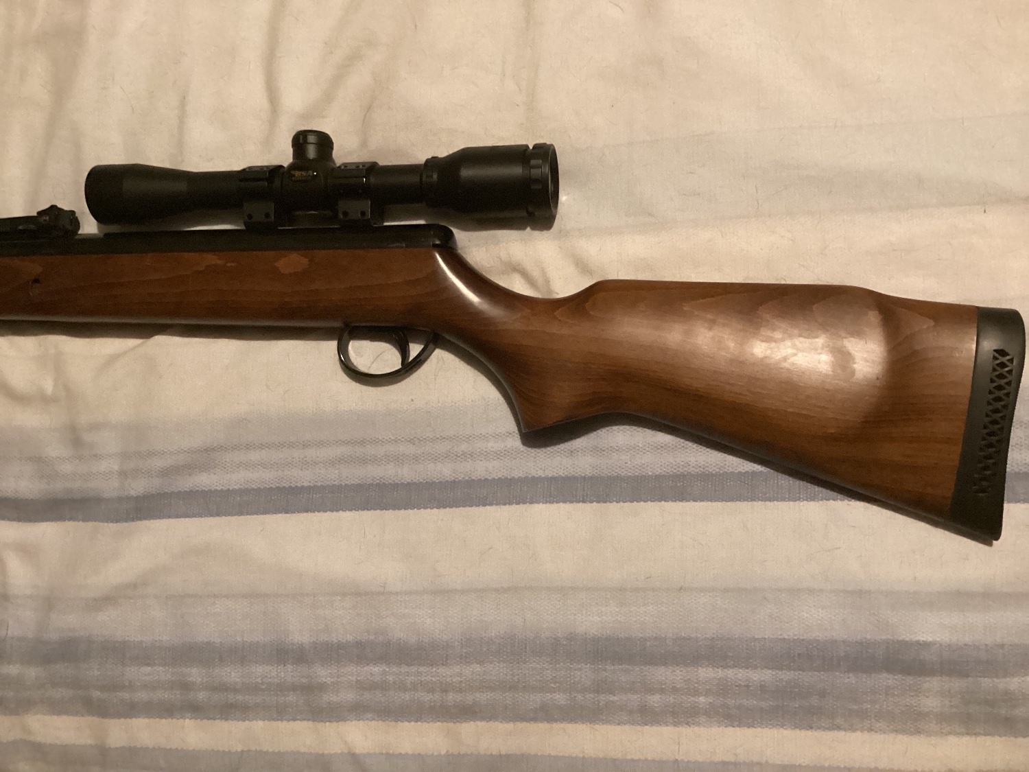  BSA Supersport .22 .22