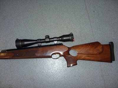 Webley / Webley & Scott Longbow .22