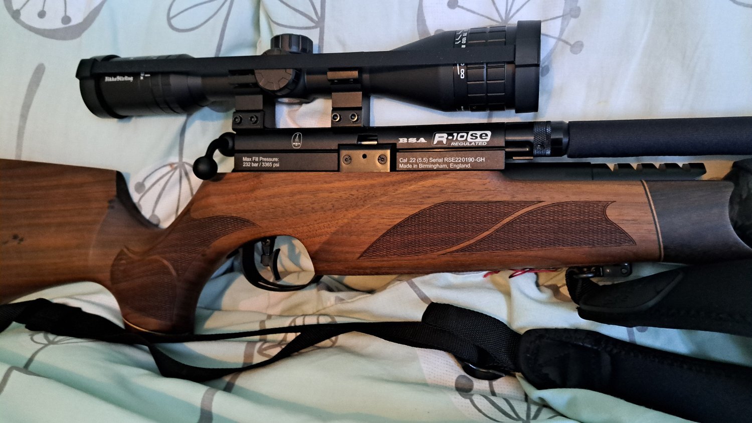 BSA R10 SE .22