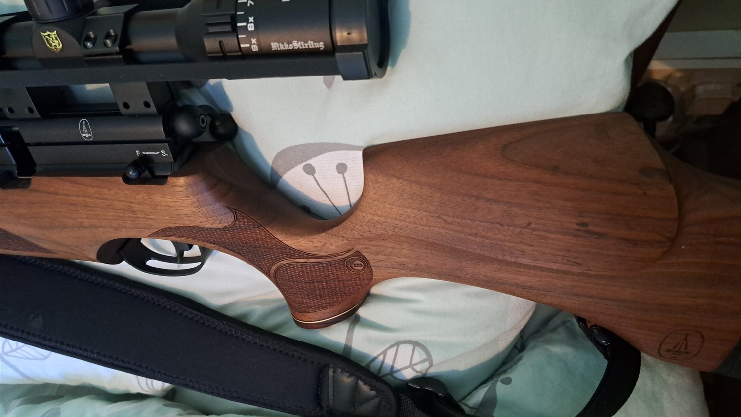  BSA R10 SE .22