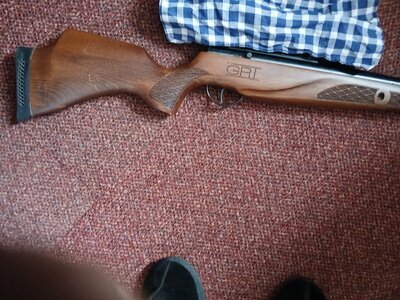 BSA Lightening .22 .22