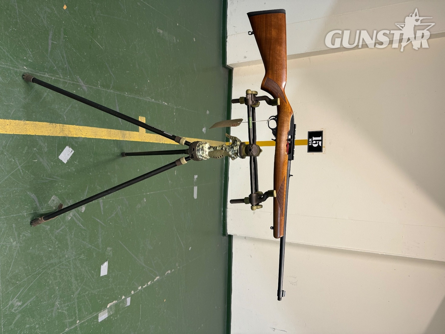 Ruger 10/22 Semi-Auto .22 Rifle
