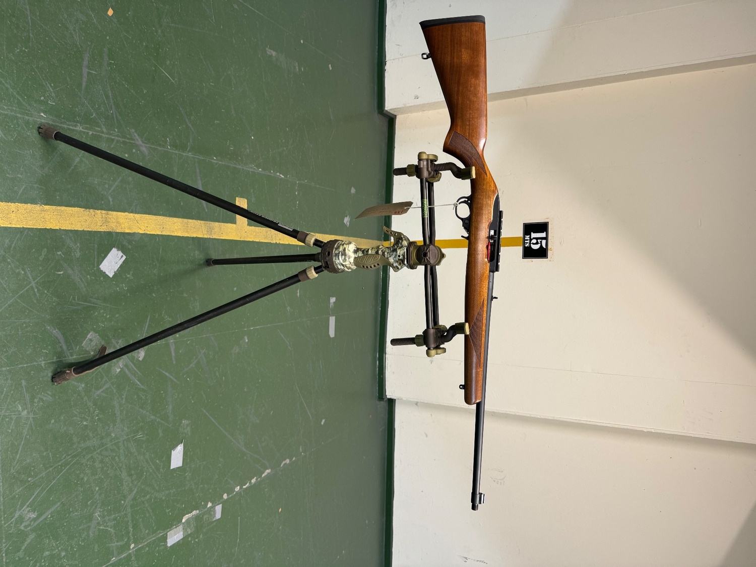 Ruger 10/22 Semi-Auto .22 Rifle
