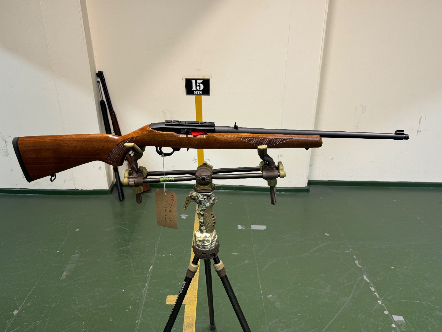 {CATEGORY} - Ruger 10/22 Semi-Auto .22 Rifle in 