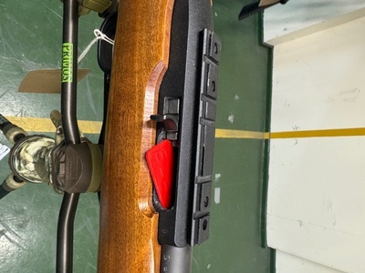 Ruger 10/22 Semi-Auto .22 Rifle