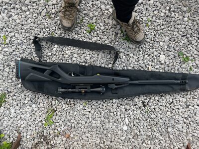 Gamo Whisper X Swarm .22