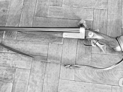 W.W. Greener FIELD Side By Side 12 Bore/gauge