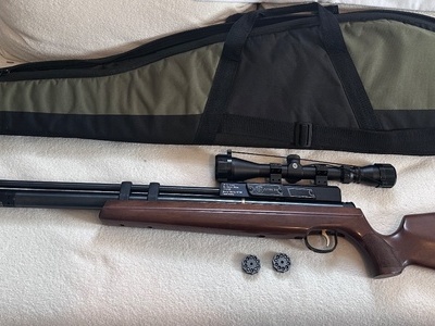 Hatsan Arms AT44-10 .22