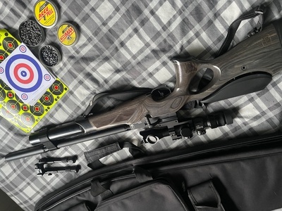BSA R12 CLX Pro lamanated .22