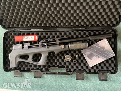 FX Airguns Wildcat .25