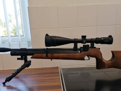Air Arms S200 .22