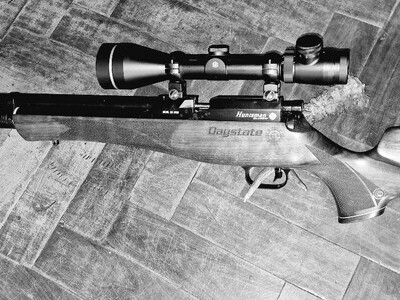 Daystate Huntsman FAC .22