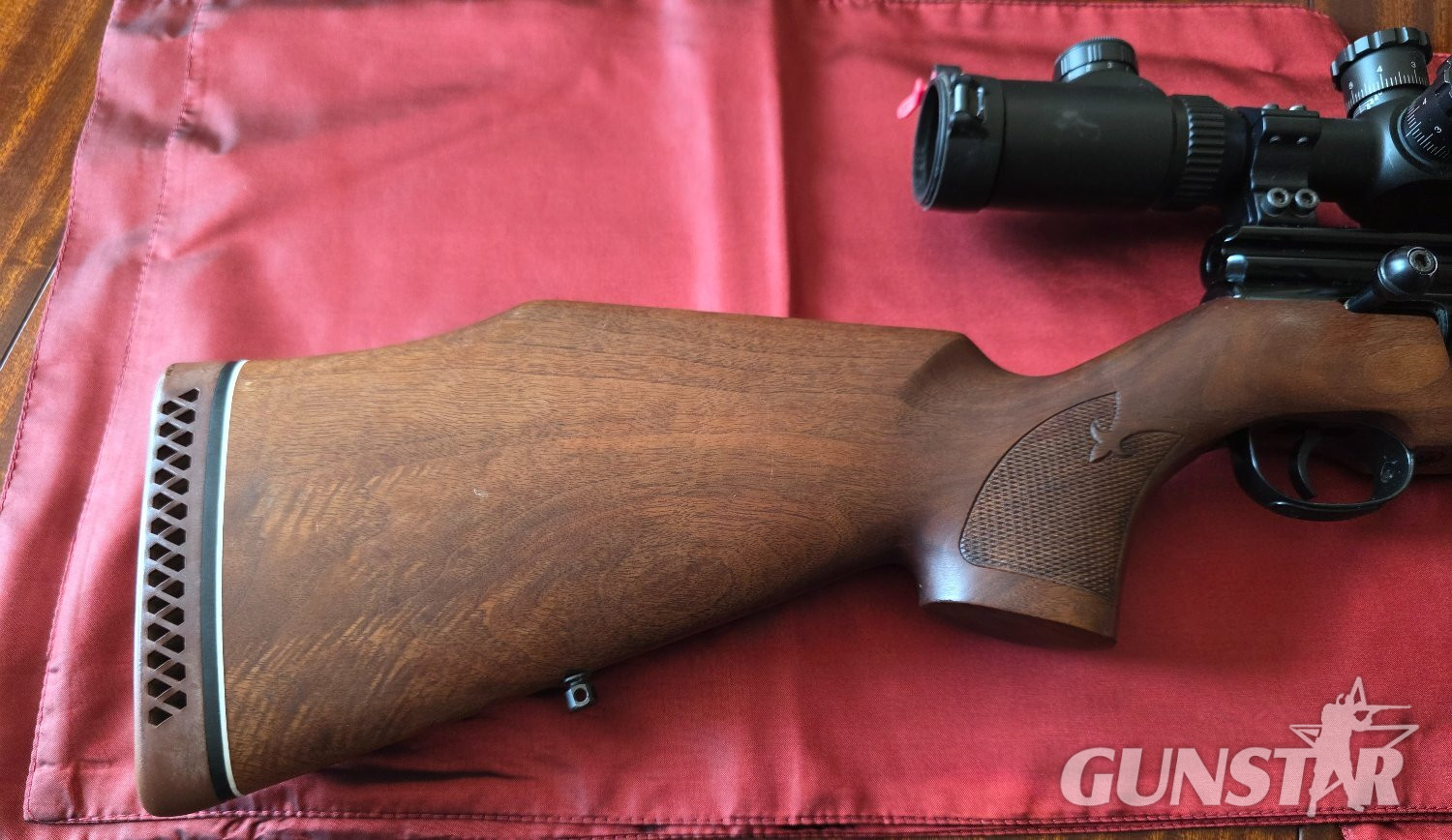 Webley / Webley & Scott FX2000 .22 