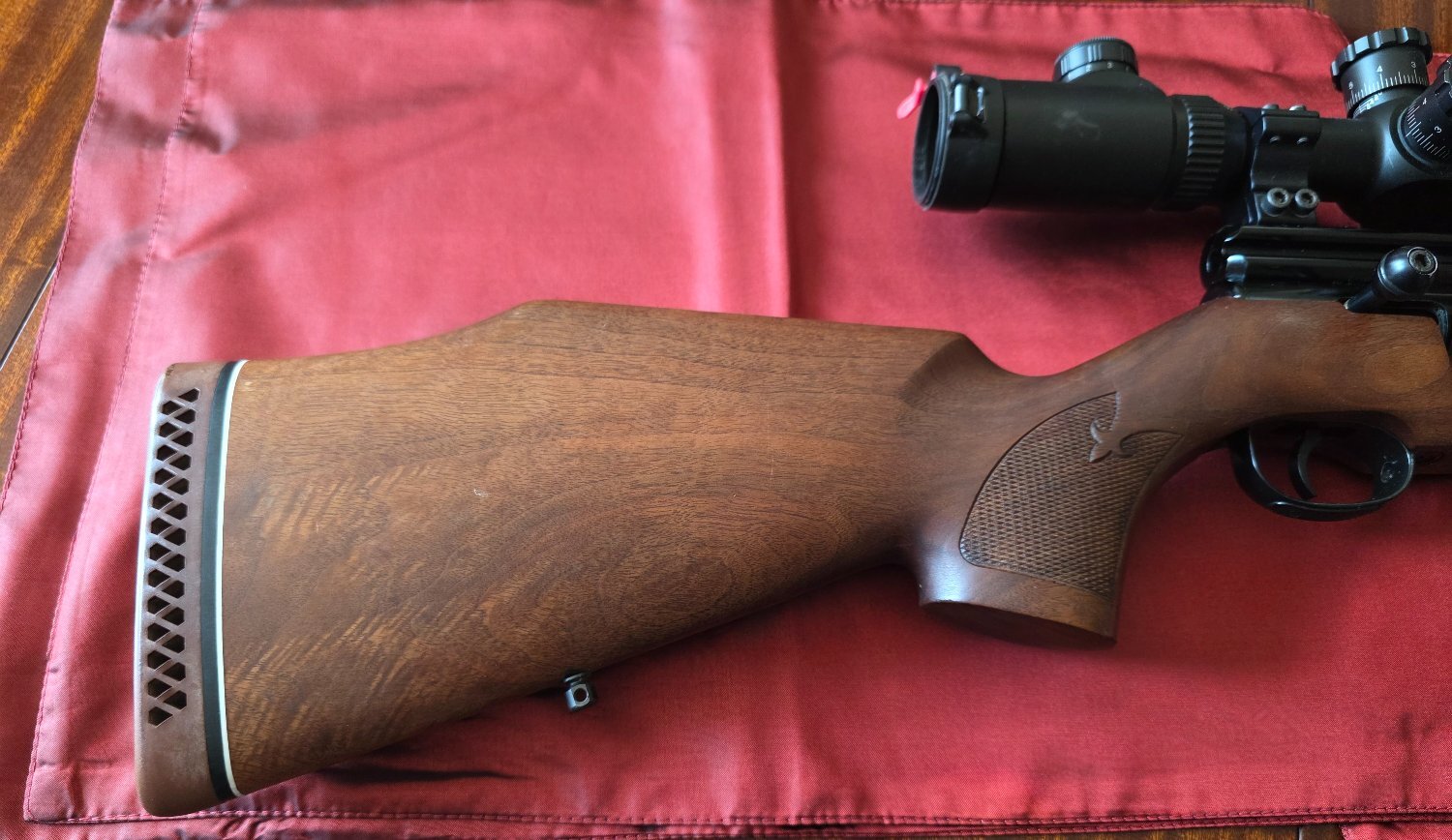 Webley / Webley & Scott FX2000 .22 