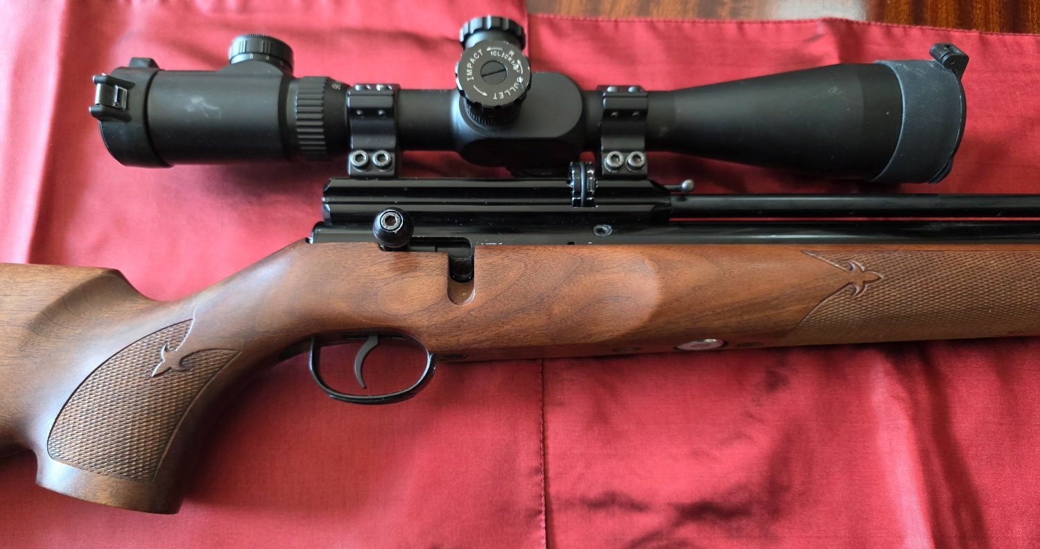 {CATEGORY} - Webley / Webley & Scott FX2000 .22 in 