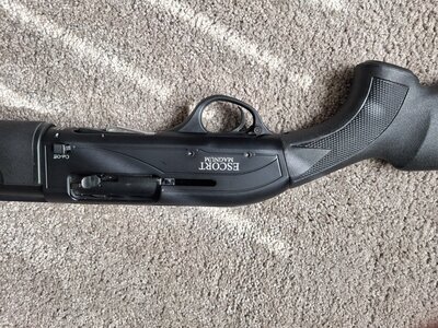 Hatsan Arms Escort magnum 12g semi auto Semi-Auto 12 Bore/gauge