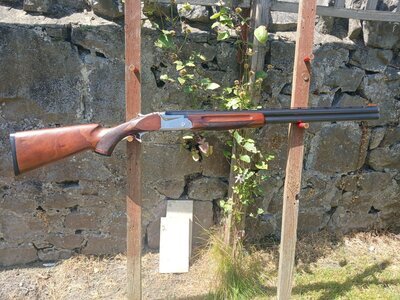 SKB 505 Over and Under 12 Bore/gauge