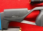 Stoeger XM1 .22