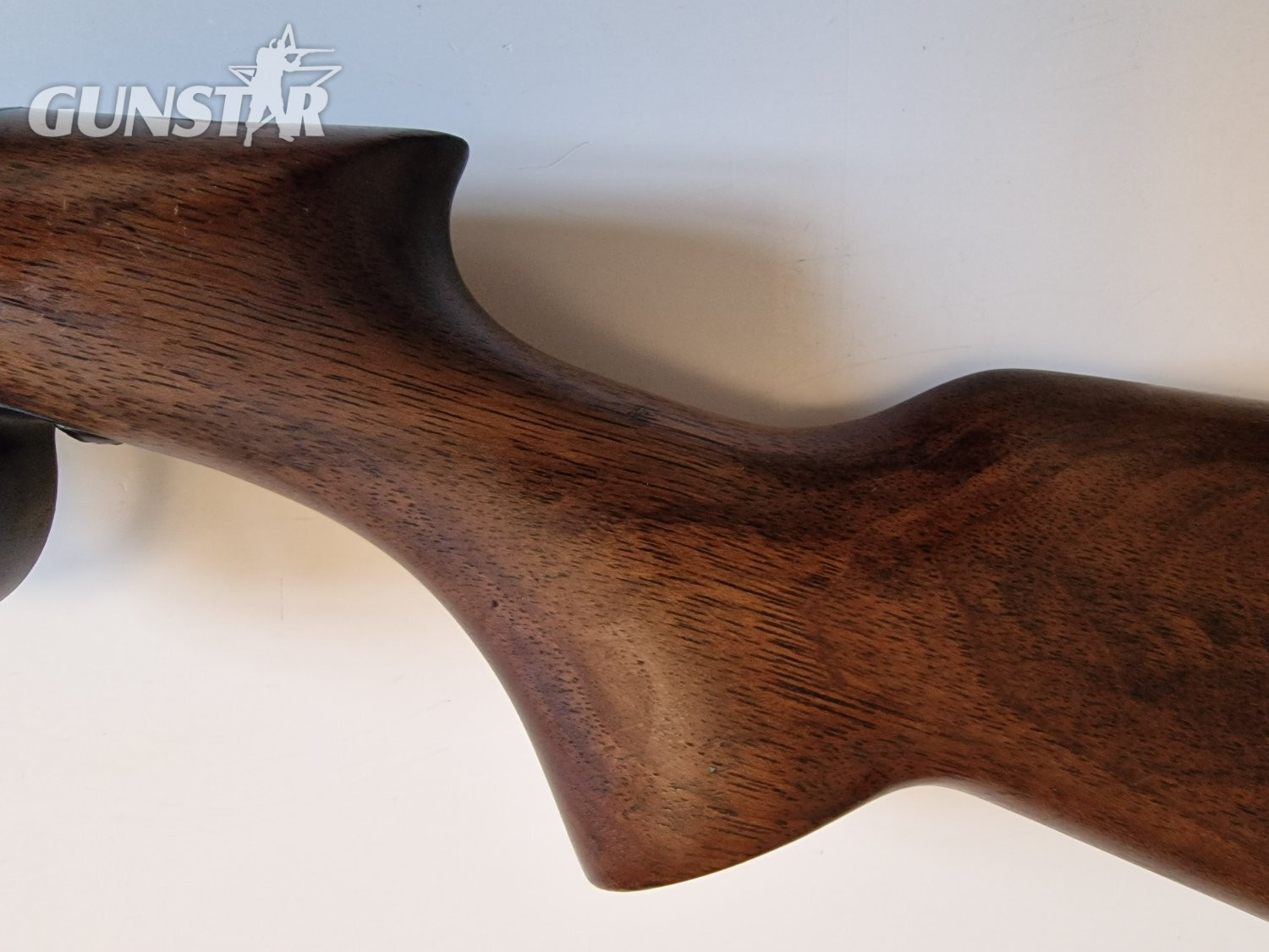  W.W. Greener The Greener Air Rifle .22
