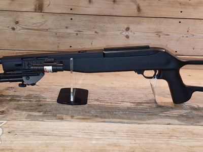 Ruger 10/22 Semi-Auto .22 Long Rifle (.22 LR) Rifle