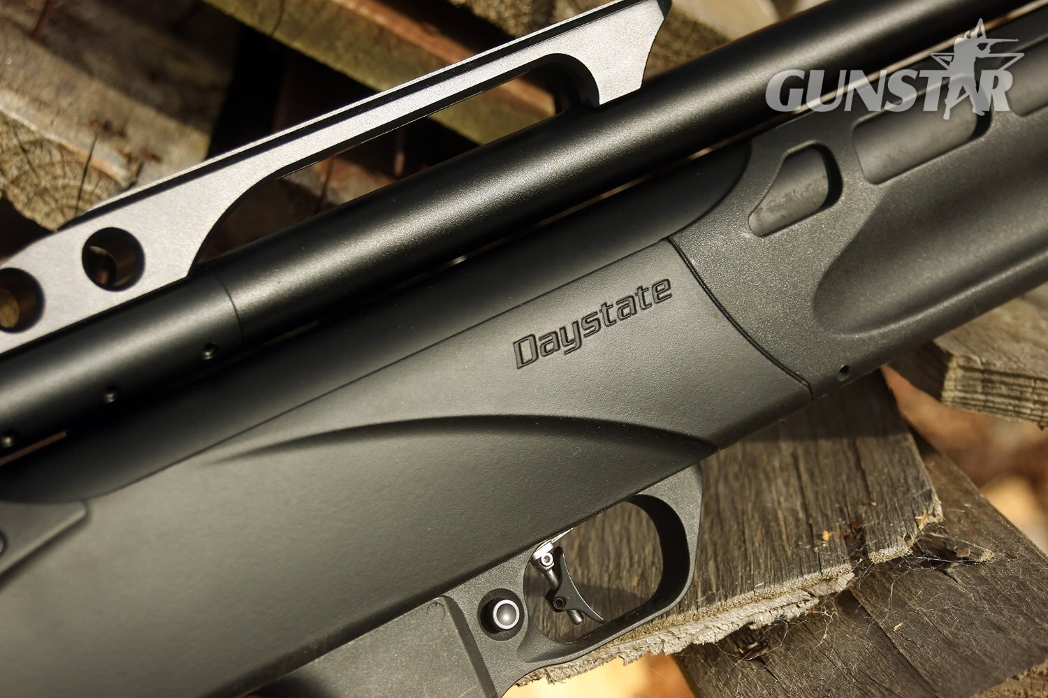  Daystate Pulsar .22