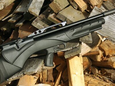 Daystate Pulsar .22