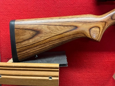 Ruger 10/22 Semi-Auto .22 LR Rifle