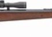 Remington Express .22  Air Rifles