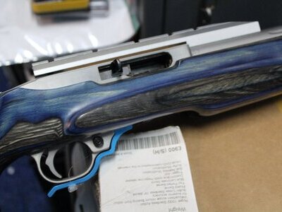 Ruger 10/22 Custom Stainless Fluted Barrel Semi-Auto .22 LR Rifle