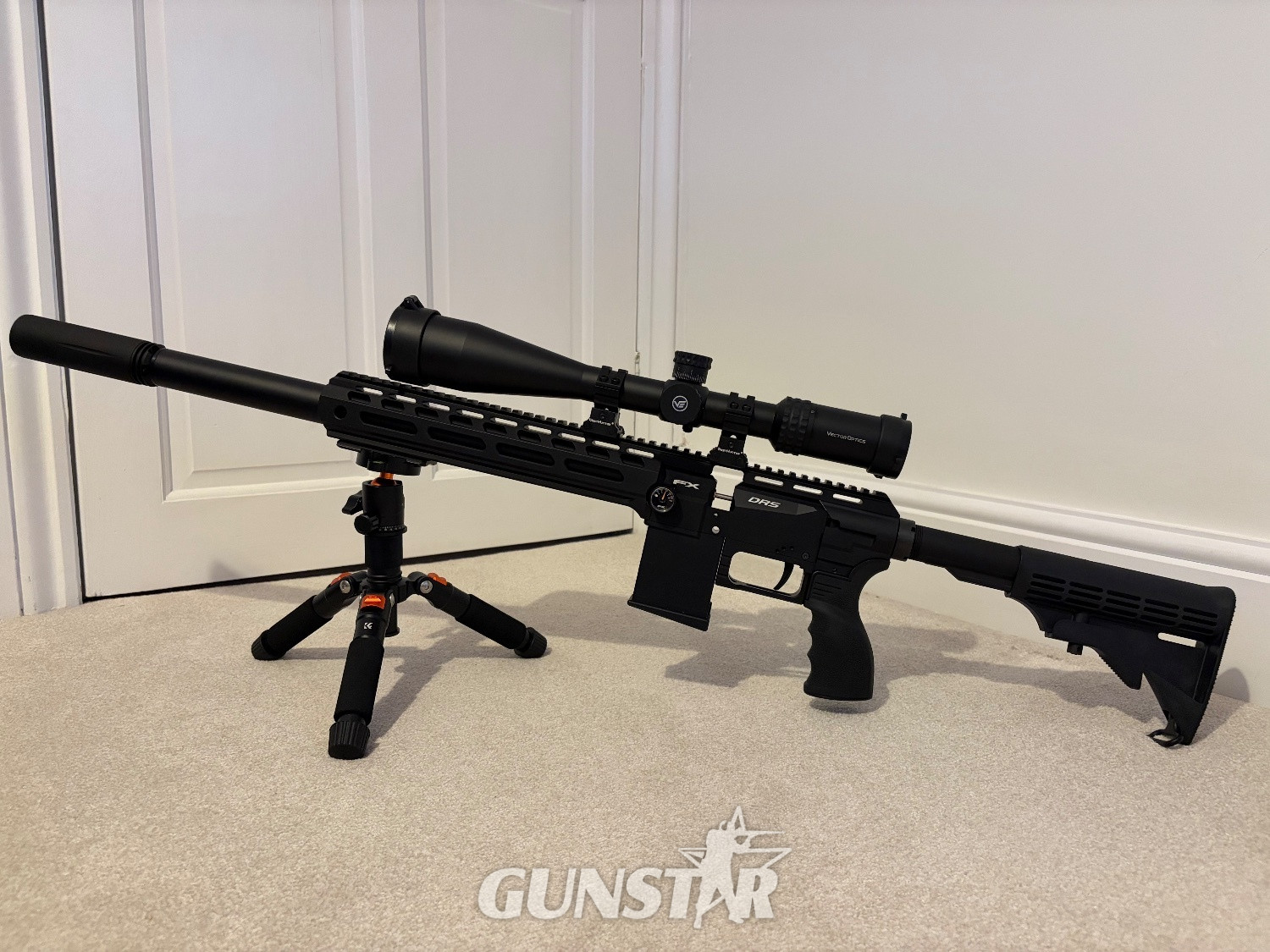 FX Airguns 100 .22 in 