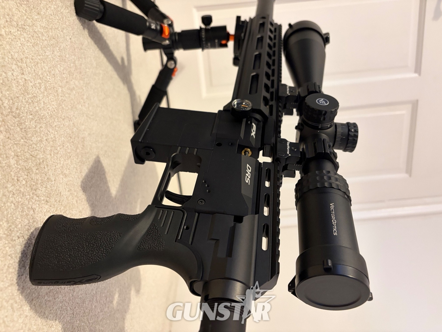 FX Airguns 100 .22