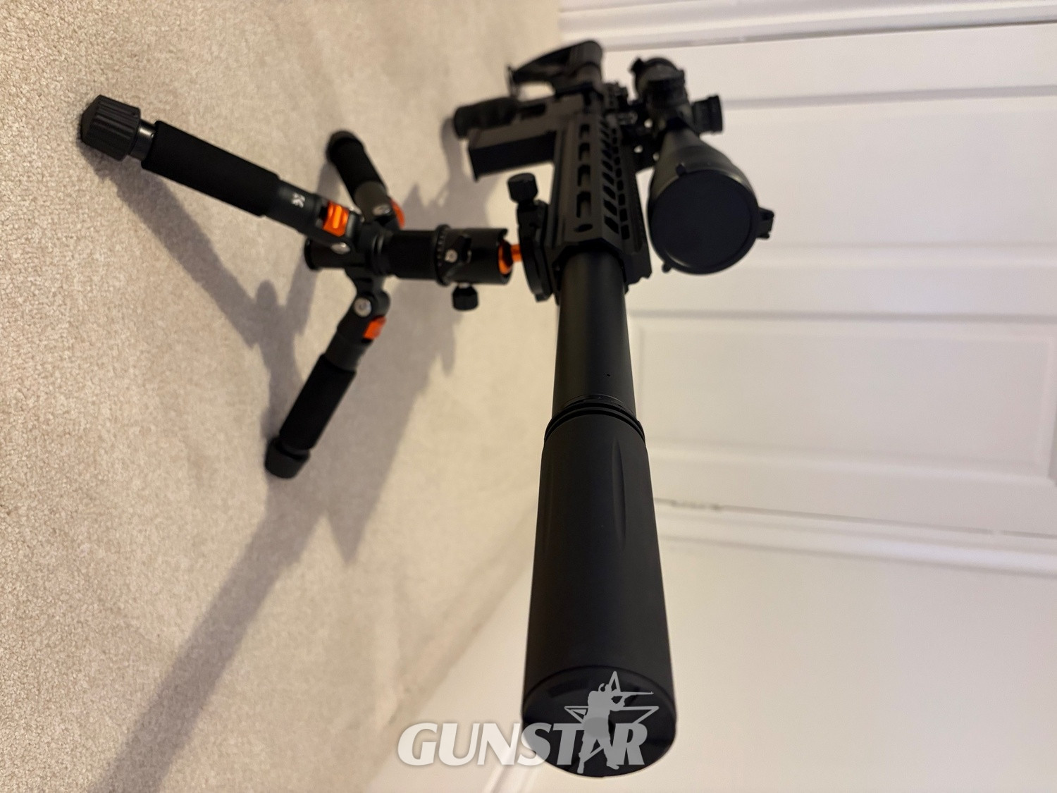  FX Airguns 100 .22