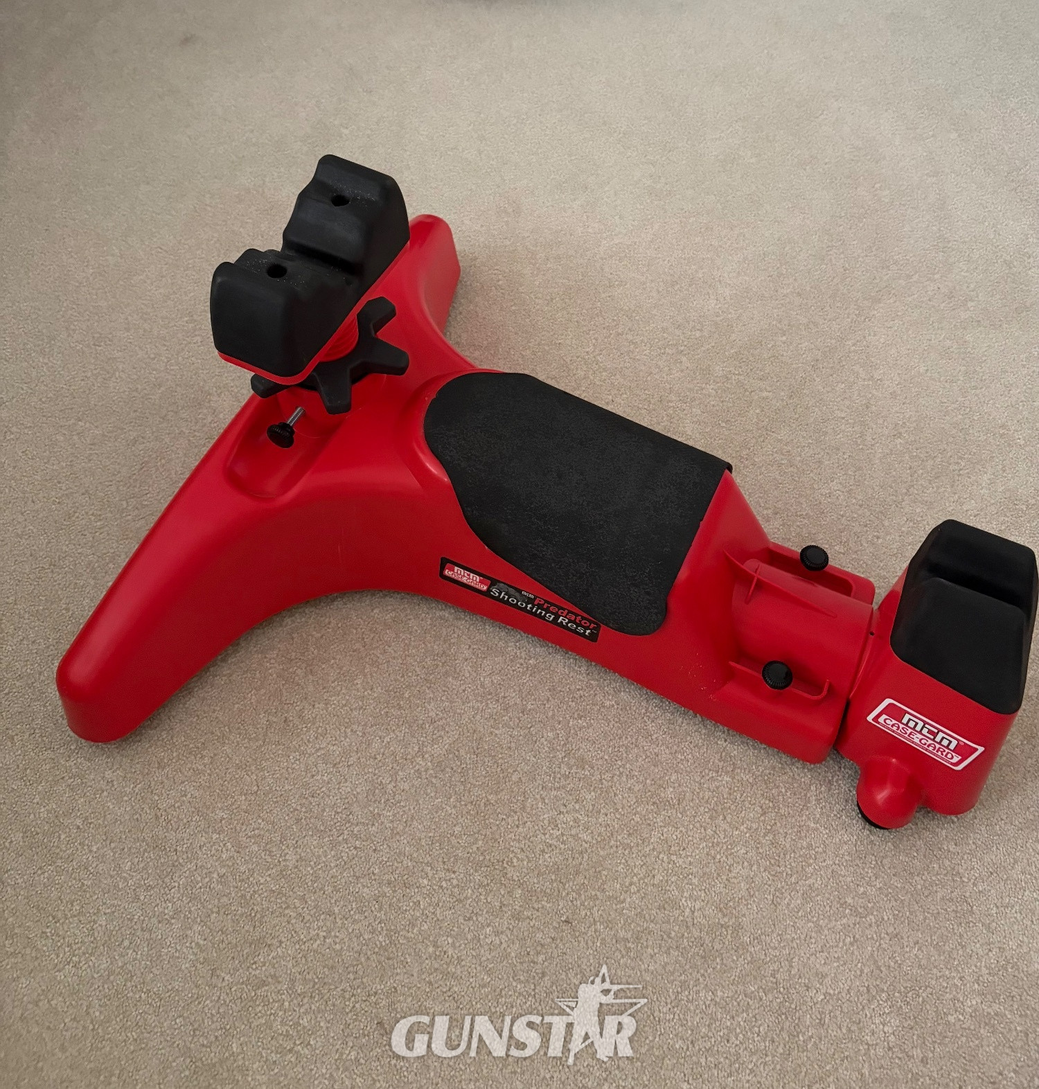 FX Airguns 100 .22 