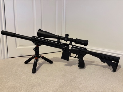 FX Airguns 100 .22